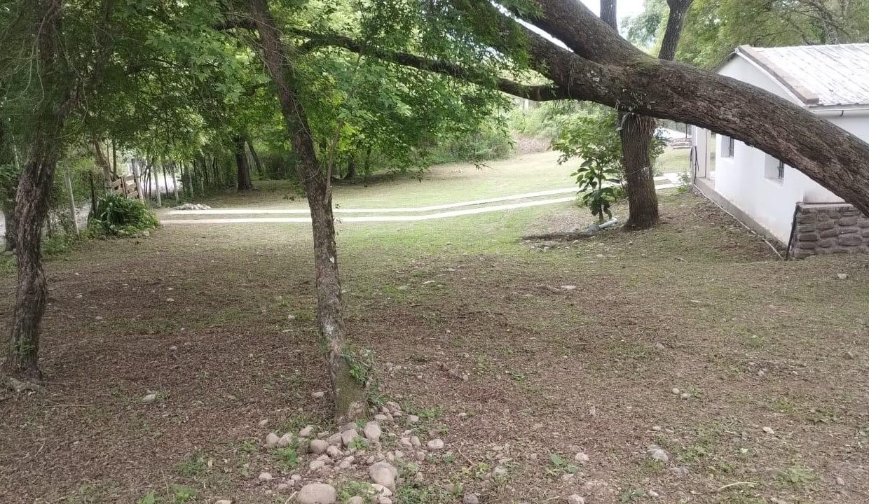 WhatsApp Image 2025-11-17 at 20.35.05 (8)