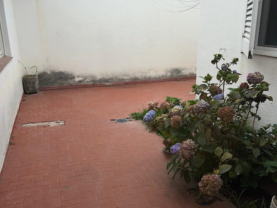 WhatsApp Image 2025-12-15 at 20.26.55